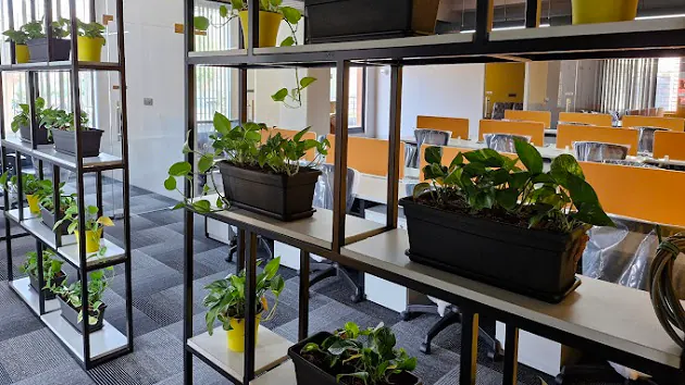 Private Cabin at SmartHive Workspace, Bommanahalli