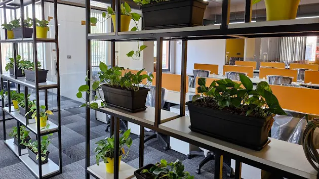Open Desk at SmartHive Workspace, Bommanahalli