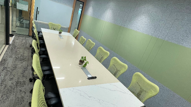 12 Seater Conference Room