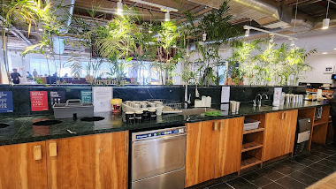 12 Seater Conference Room