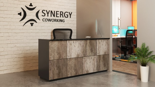 12 Seater Conference Room