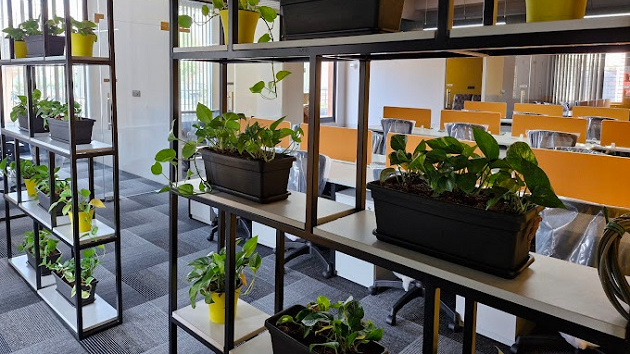 5 Seater Private Cabin 