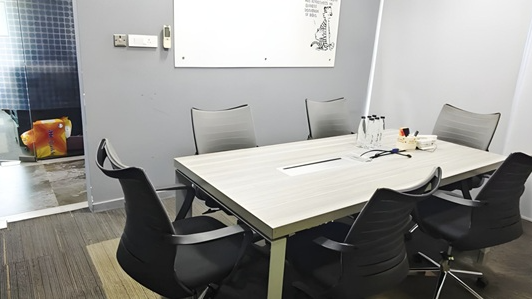 6 Seater Conference Room