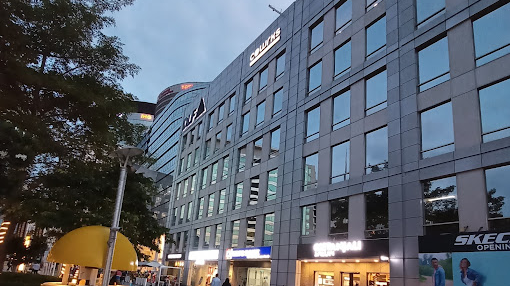 9 Seater Meeting Room