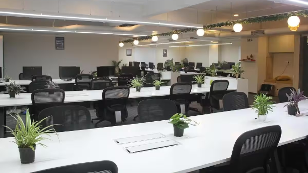 Dedicated Desks